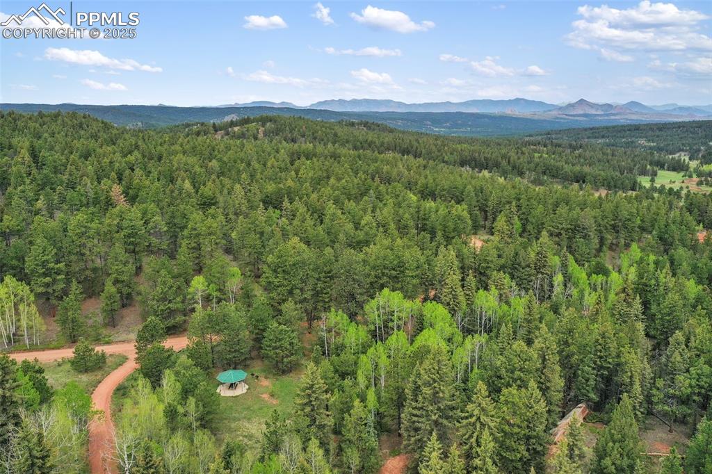 584 Sourdough Road Woodland Park CO 80863