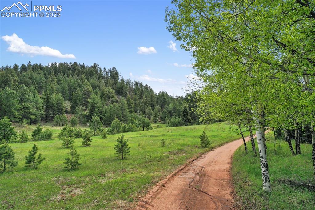584 Sourdough Road Woodland Park CO 80863