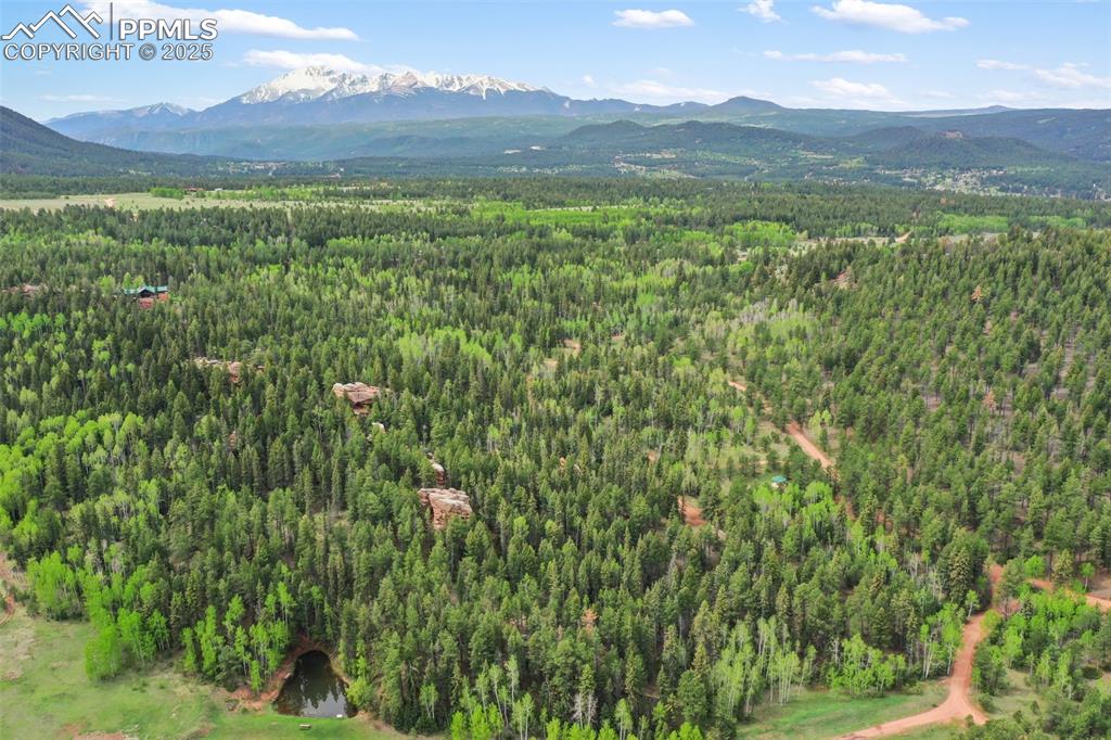 584 Sourdough Road Woodland Park CO 80863