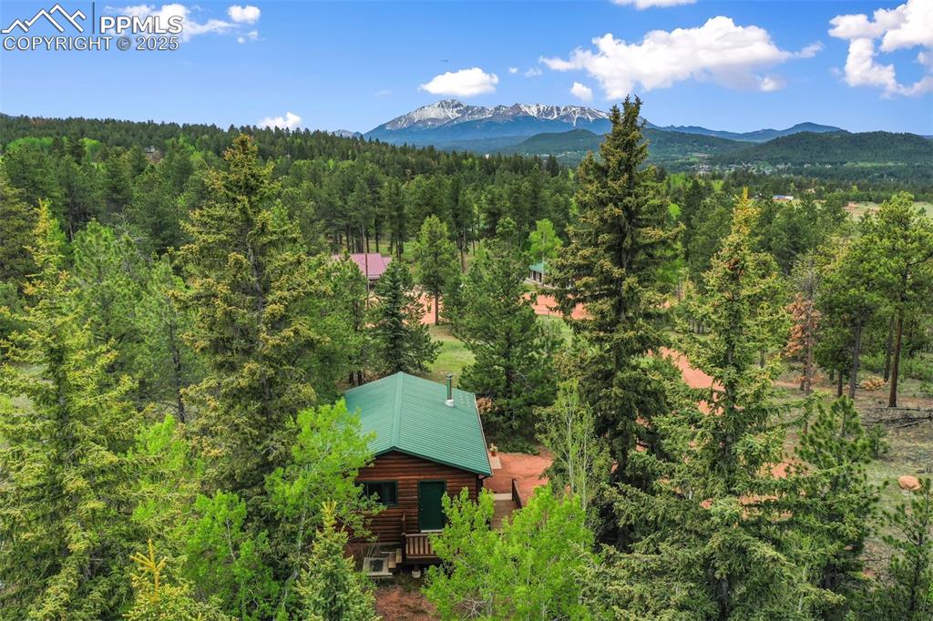 584 Sourdough Road Woodland Park CO 80863