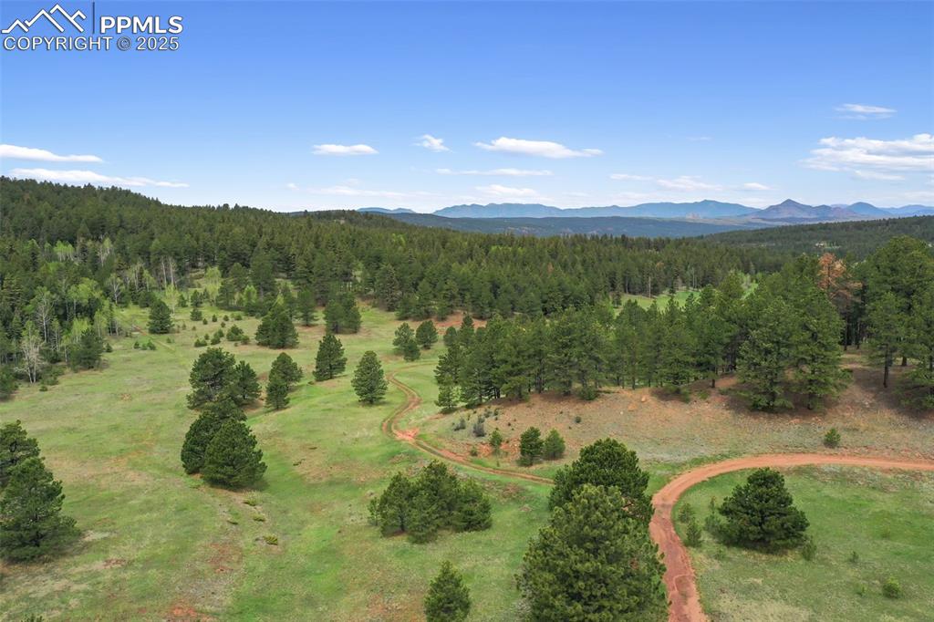 584 Sourdough Road Woodland Park CO 80863