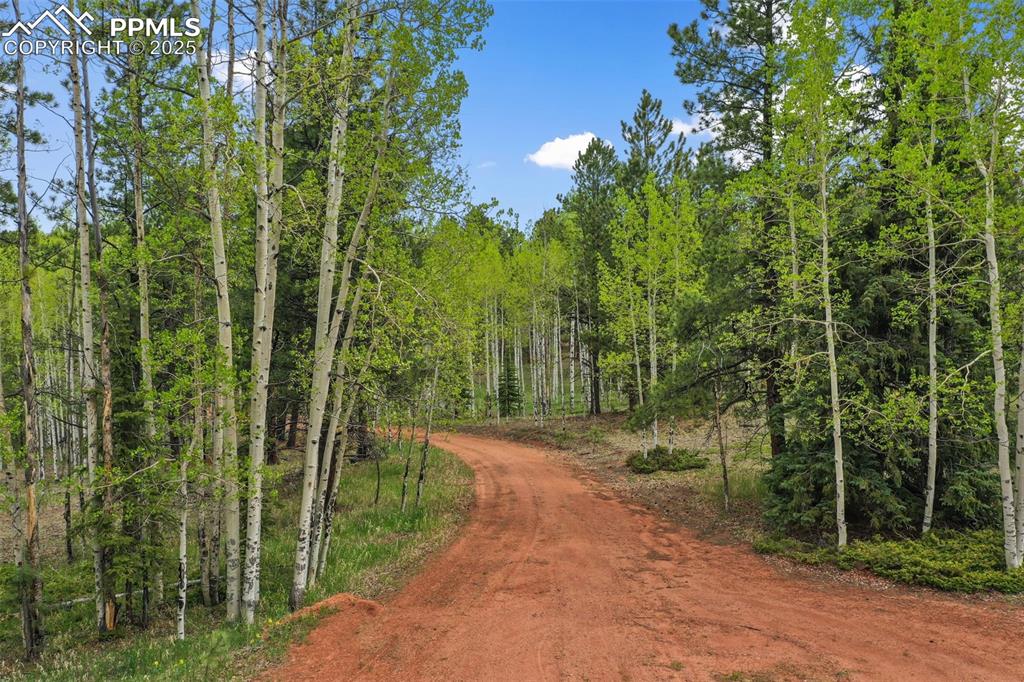 584 Sourdough Road Woodland Park CO 80863