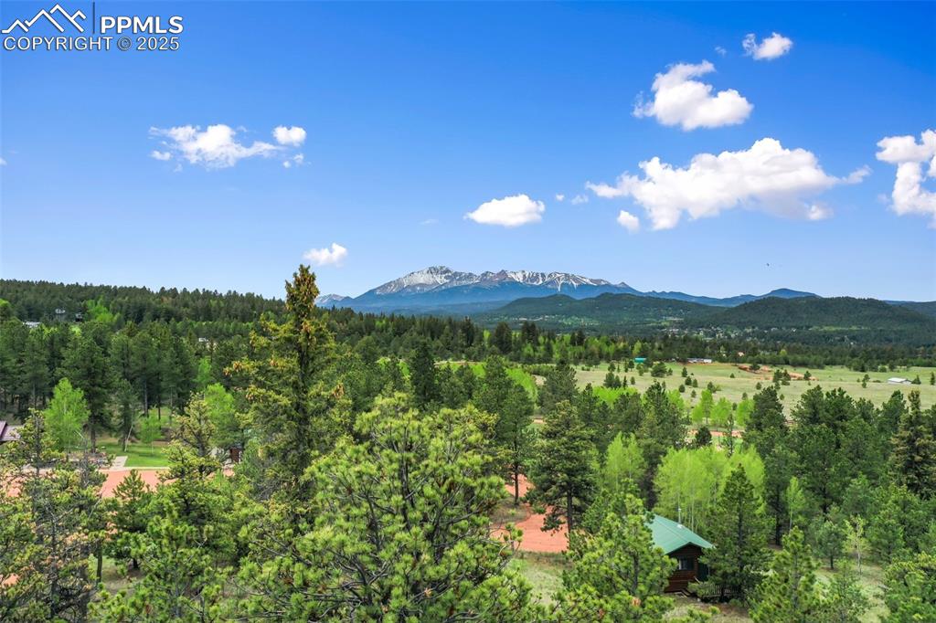 584 Sourdough Road Woodland Park CO 80863
