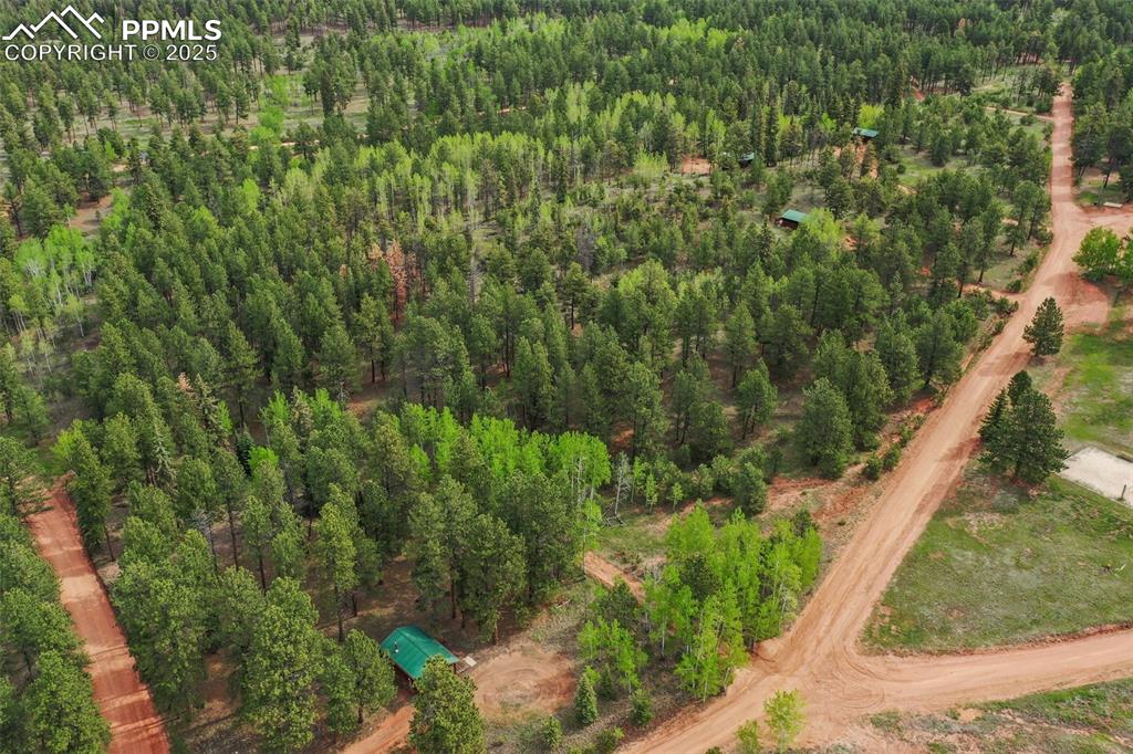 584 Sourdough Road Woodland Park CO 80863