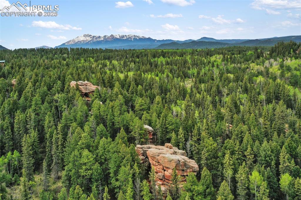584 Sourdough Road Woodland Park CO 80863