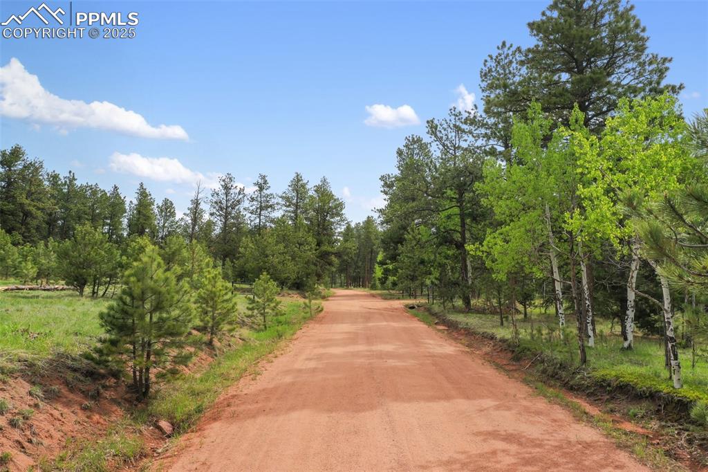 584 Sourdough Road Woodland Park CO 80863
