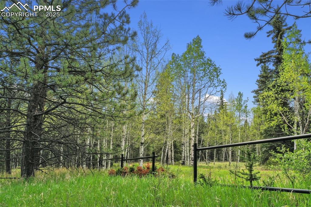 584 Sourdough Road Woodland Park CO 80863