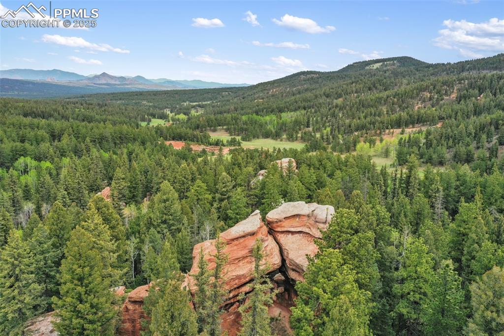 584 Sourdough Road Woodland Park CO 80863