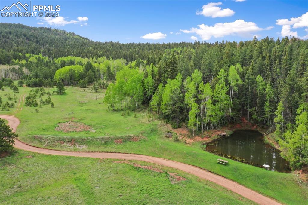 584 Sourdough Road Woodland Park CO 80863