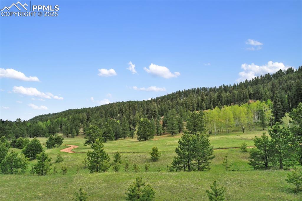 584 Sourdough Road Woodland Park CO 80863