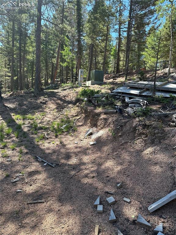 67 Gerka Lane Florissant CO 80816