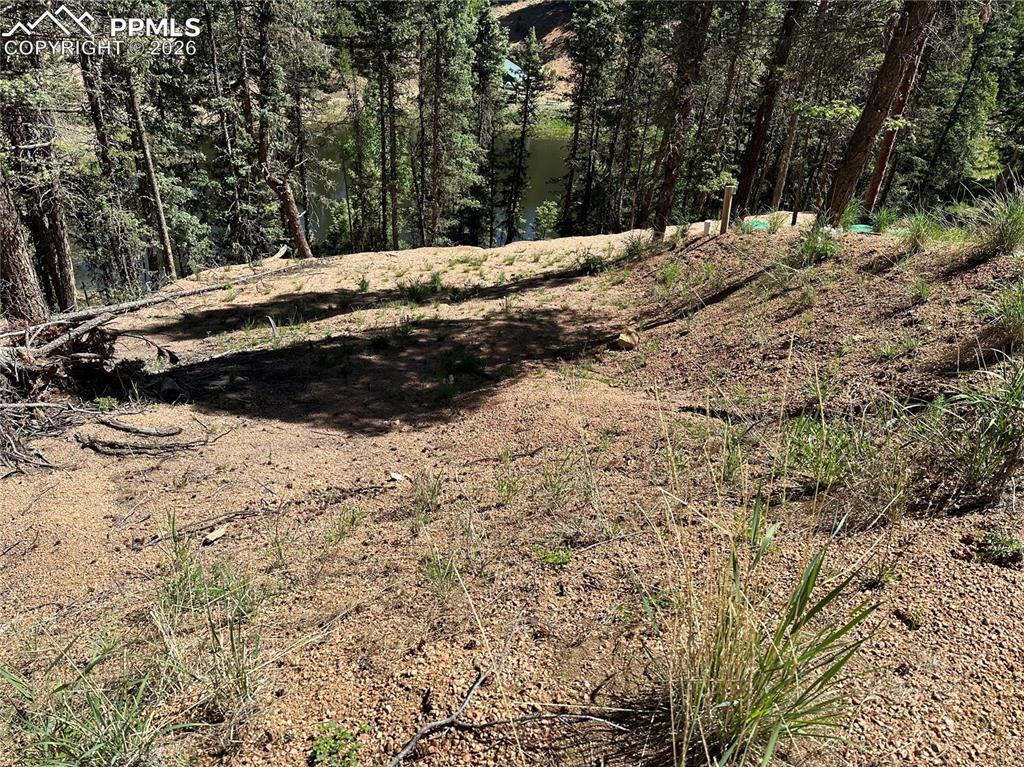 67 Gerka Lane Florissant CO 80816