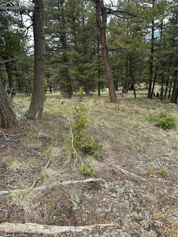 1120/1086 N Mountain Estates Road Florissant CO 80816