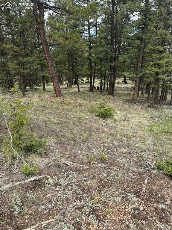 1120/1086 N Mountain Estates Road Florissant CO 80816
