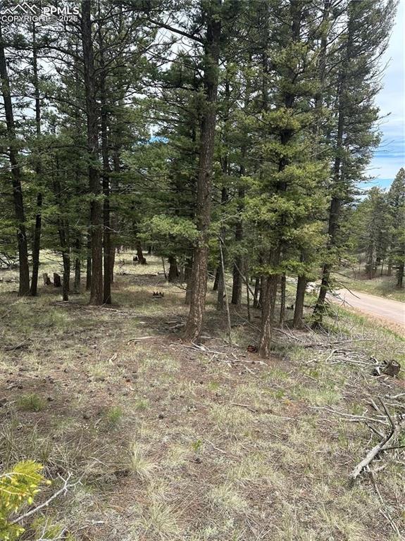 1120/1086 N Mountain Estates Road Florissant CO 80816