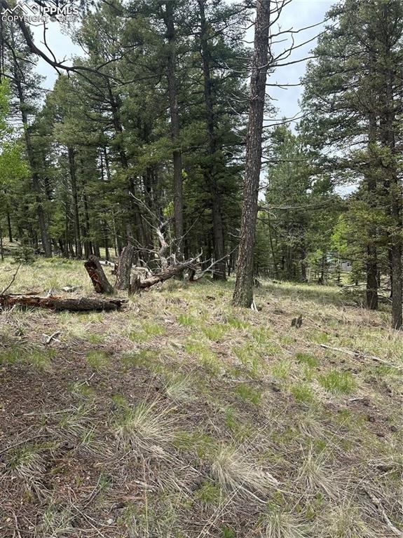 1120/1086 N Mountain Estates Road Florissant CO 80816