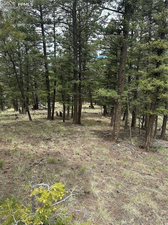 1120/1086 N Mountain Estates Road Florissant CO 80816