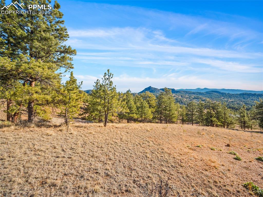 2706 Southpark Road Florissant CO 80816