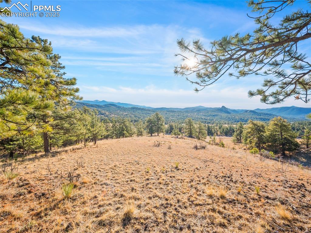 2706 Southpark Road Florissant CO 80816