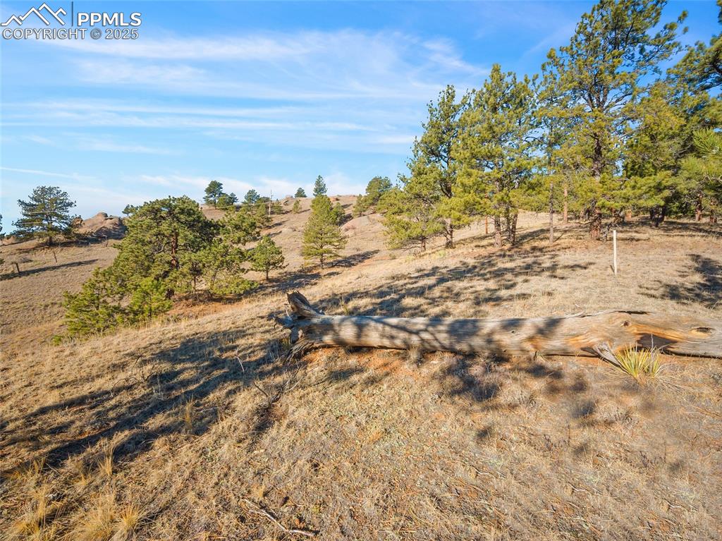 2706 Southpark Road Florissant CO 80816
