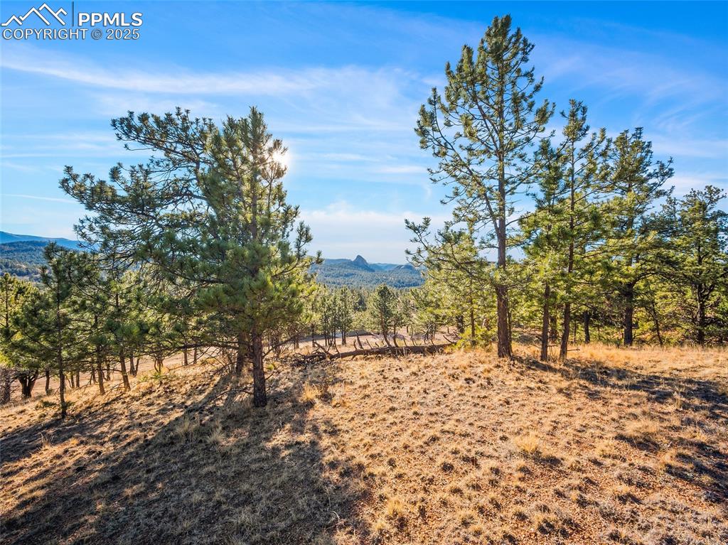 2706 Southpark Road Florissant CO 80816