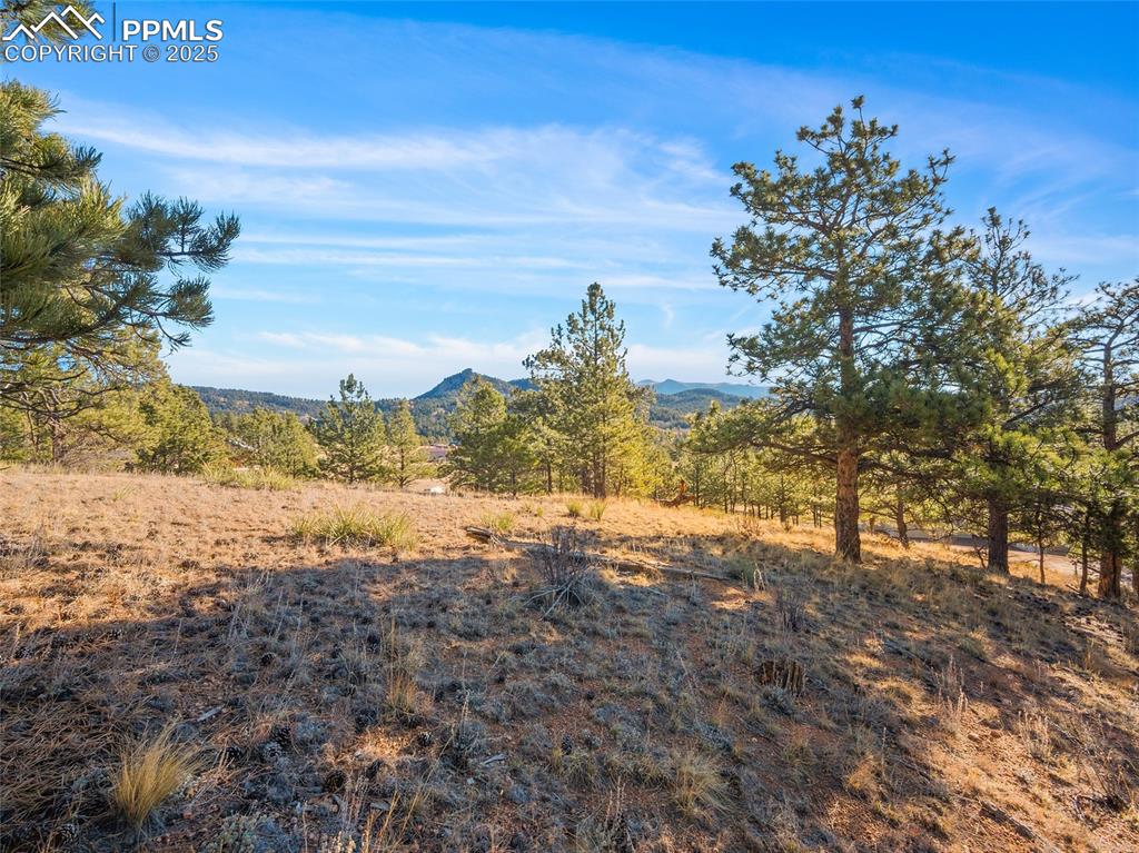 2706 Southpark Road Florissant CO 80816