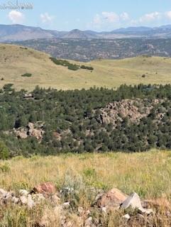 87A Flat Top Drive Canon City CO 81212