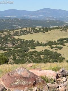 87A Flat Top Drive Canon City CO 81212