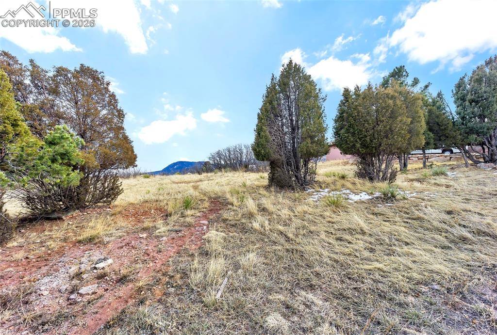3610 Twisted Oak Circle Colorado Springs CO 80904