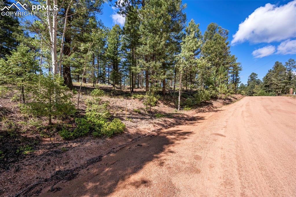 210 Donzi Trail Florissant CO 80816