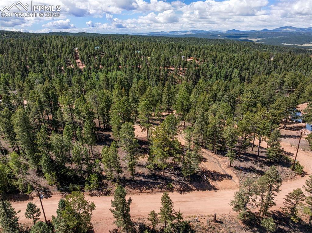 210 Donzi Trail Florissant CO 80816