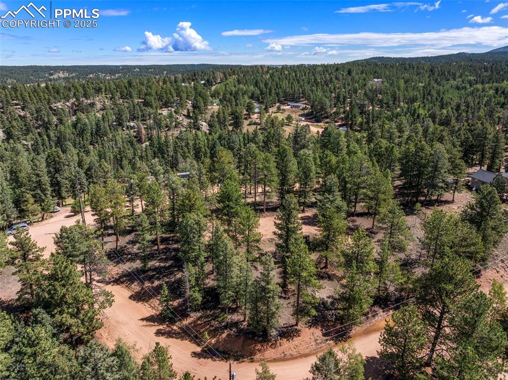 210 Donzi Trail Florissant CO 80816