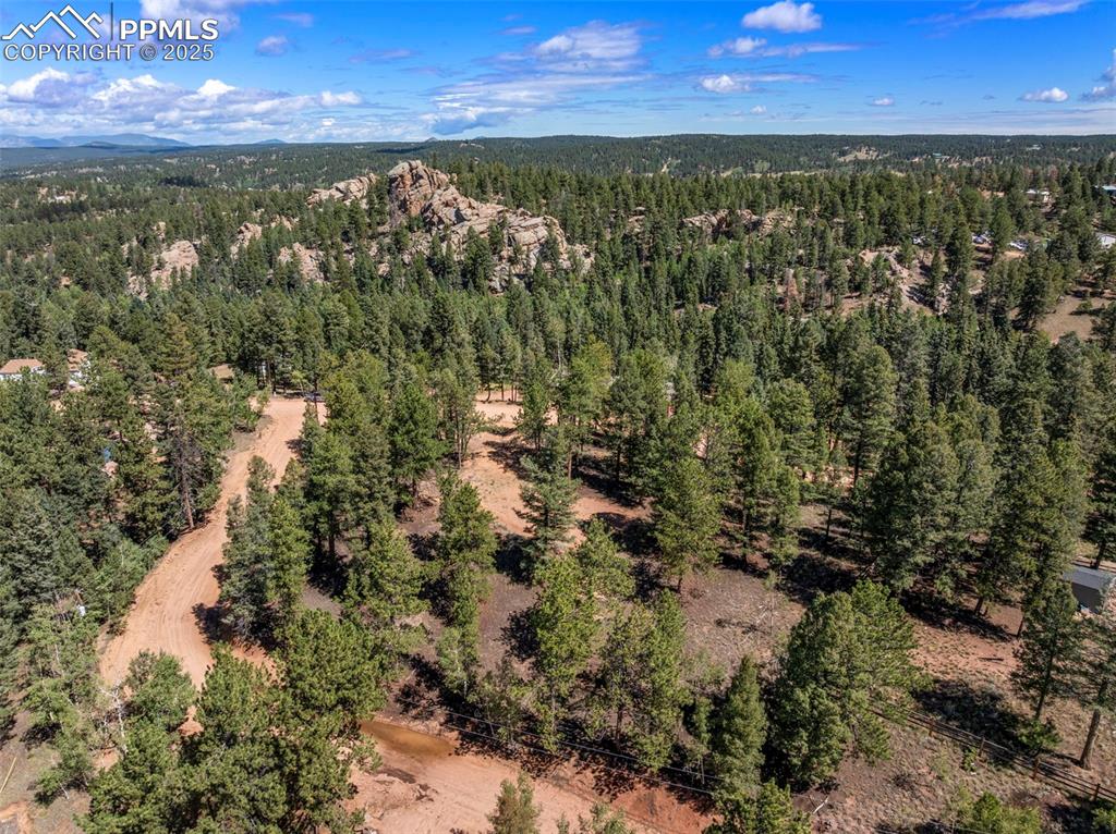 210 Donzi Trail Florissant CO 80816