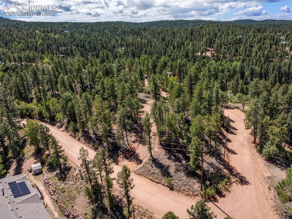 210 Donzi Trail Florissant CO 80816