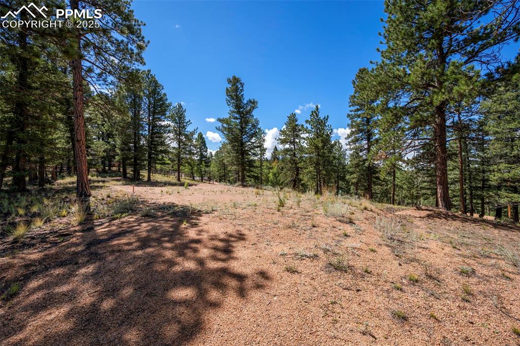 210 Donzi Trail Florissant CO 80816