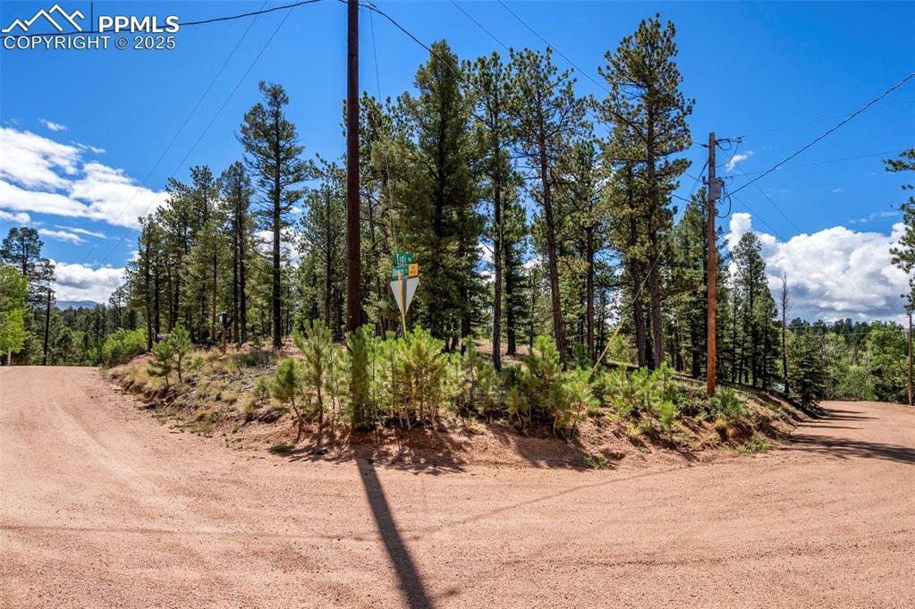 210 Donzi Trail Florissant CO 80816