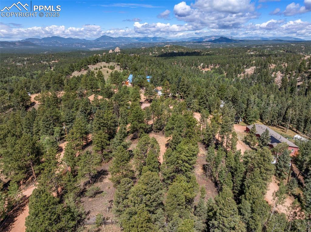 210 Donzi Trail Florissant CO 80816
