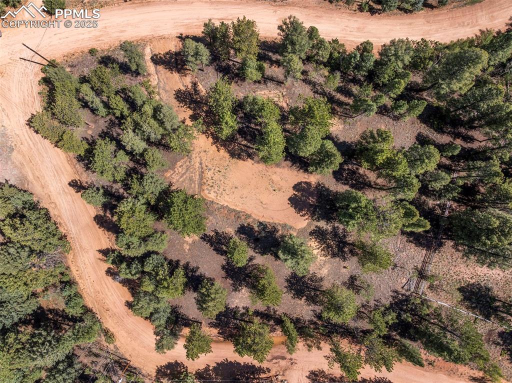 210 Donzi Trail Florissant CO 80816
