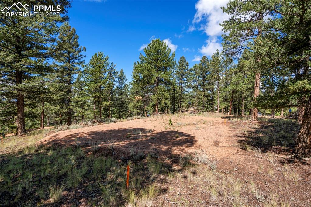 210 Donzi Trail Florissant CO 80816