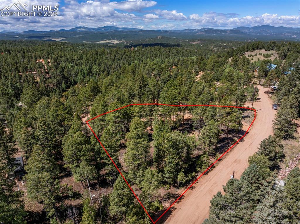 210 Donzi Trail Florissant CO 80816
