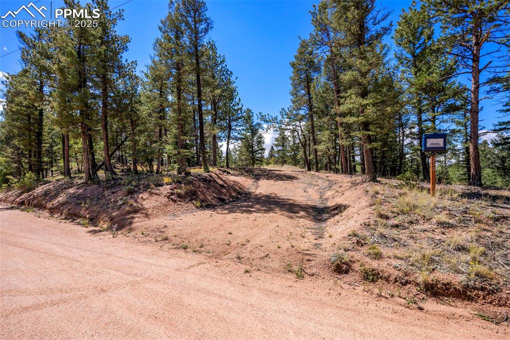210 Donzi Trail Florissant CO 80816