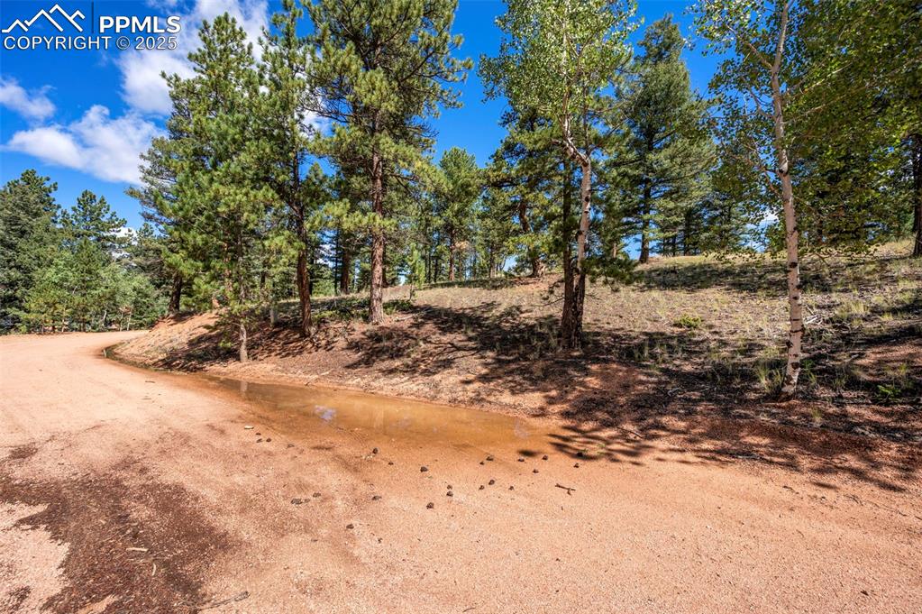 210 Donzi Trail Florissant CO 80816