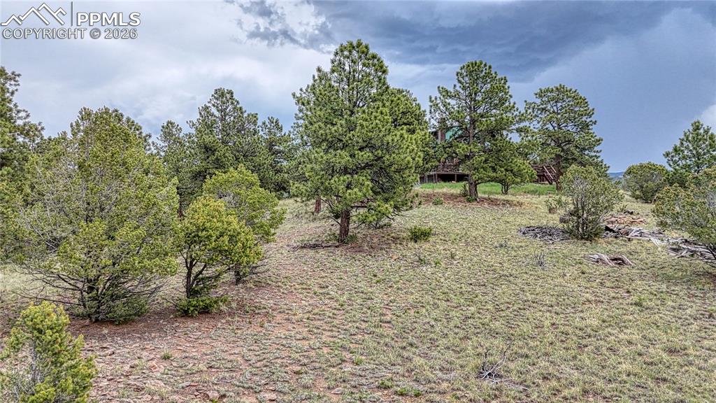 44 Honeysuckle Terrace Westcliffe CO 81252