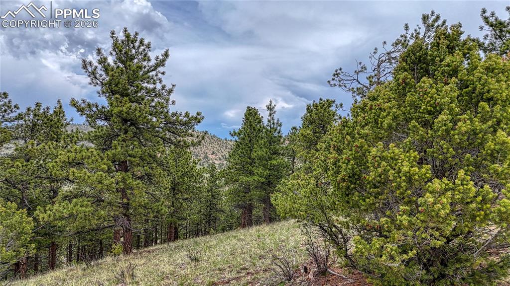 44 Honeysuckle Terrace Westcliffe CO 81252