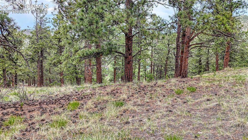 44 Honeysuckle Terrace Westcliffe CO 81252