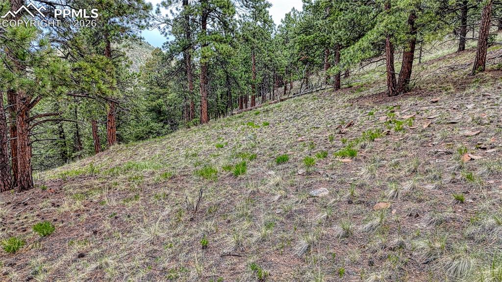 44 Honeysuckle Terrace Westcliffe CO 81252