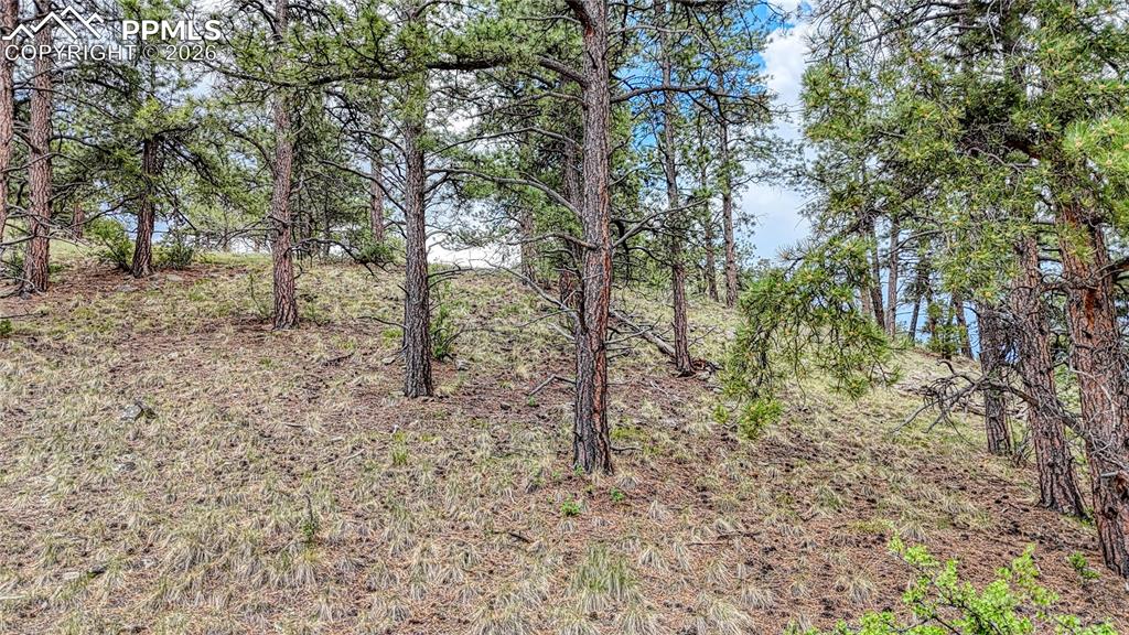 44 Honeysuckle Terrace Westcliffe CO 81252