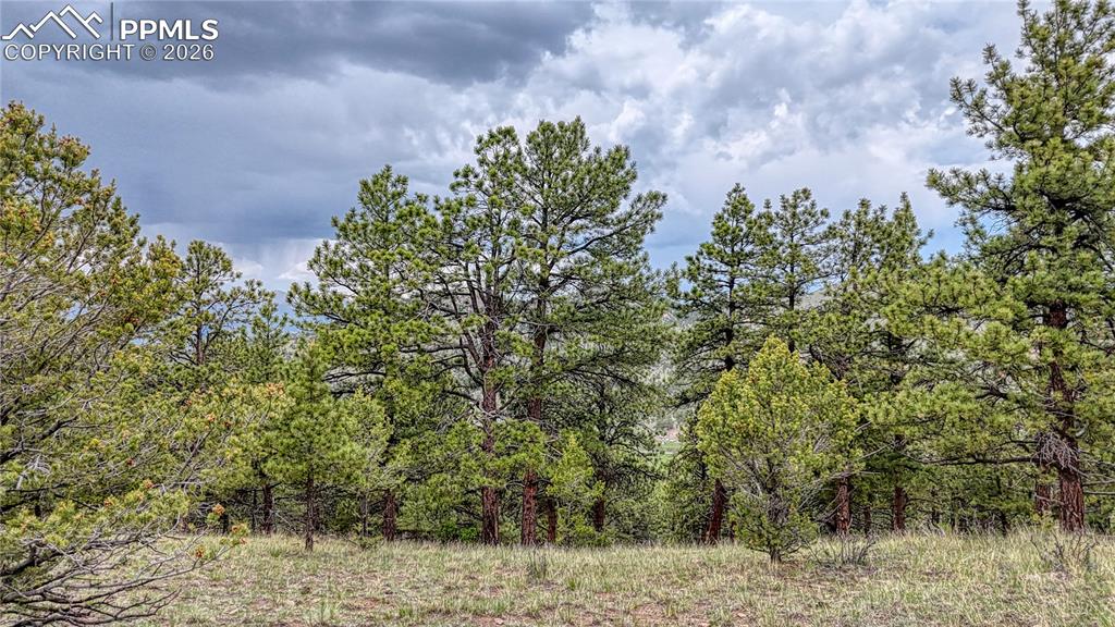 44 Honeysuckle Terrace Westcliffe CO 81252