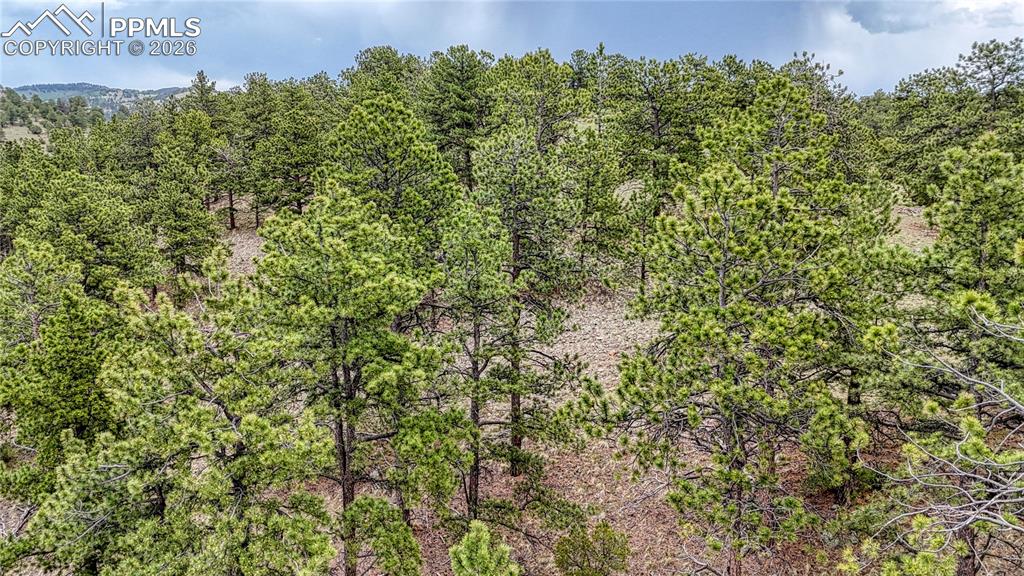44 Honeysuckle Terrace Westcliffe CO 81252