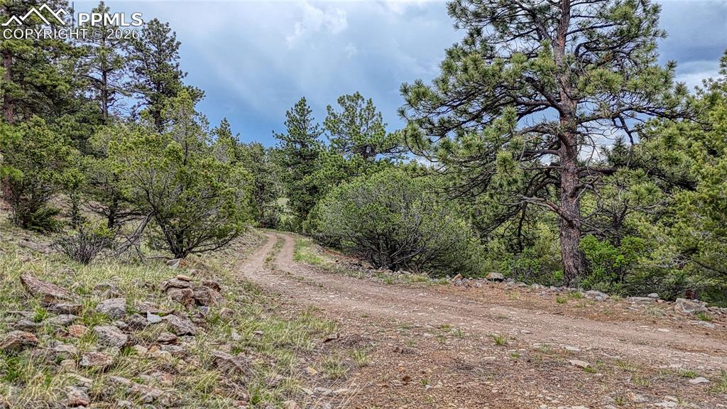 44 Honeysuckle Terrace Westcliffe CO 81252
